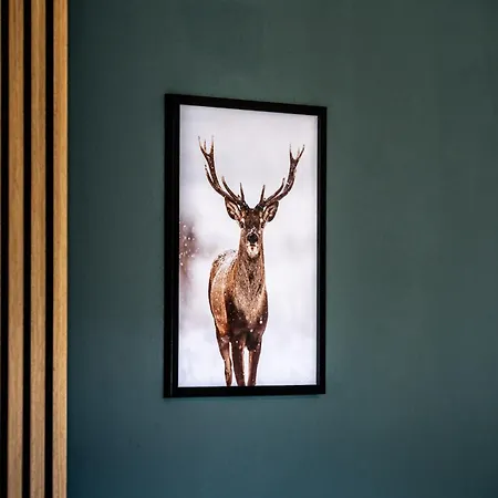 Lägenhet Stanma Luchspartment Ruhig Und Zentral Mit Grossem Balkon Und Kostenlosem Parkplatz